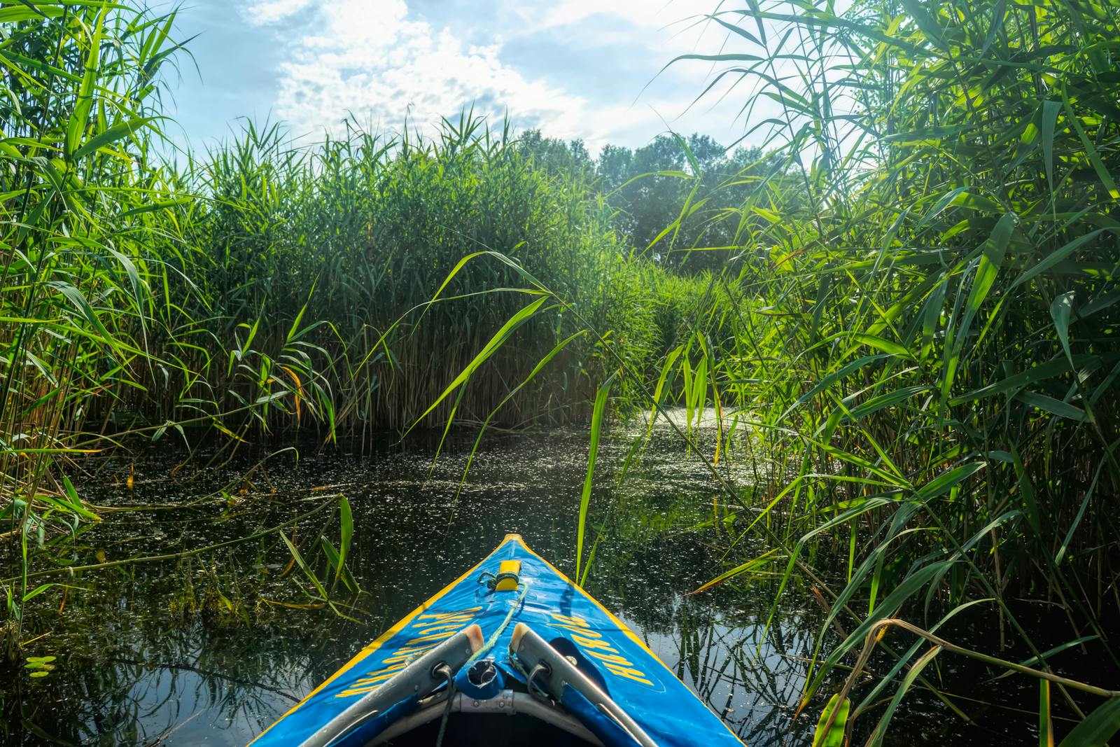 Pagaie sur les marais de l'ile de Re